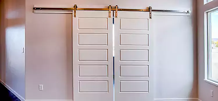 Glass Barn Door with Installation Hardware Kit Tracy