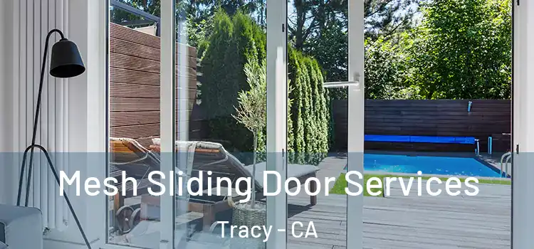 Mesh Sliding Door Services Tracy - CA